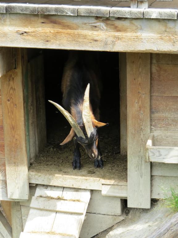 Landhaus Dorfer Grossarl Bilik gambar