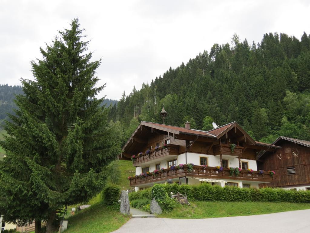 Landhaus Dorfer Grossarl Bilik gambar